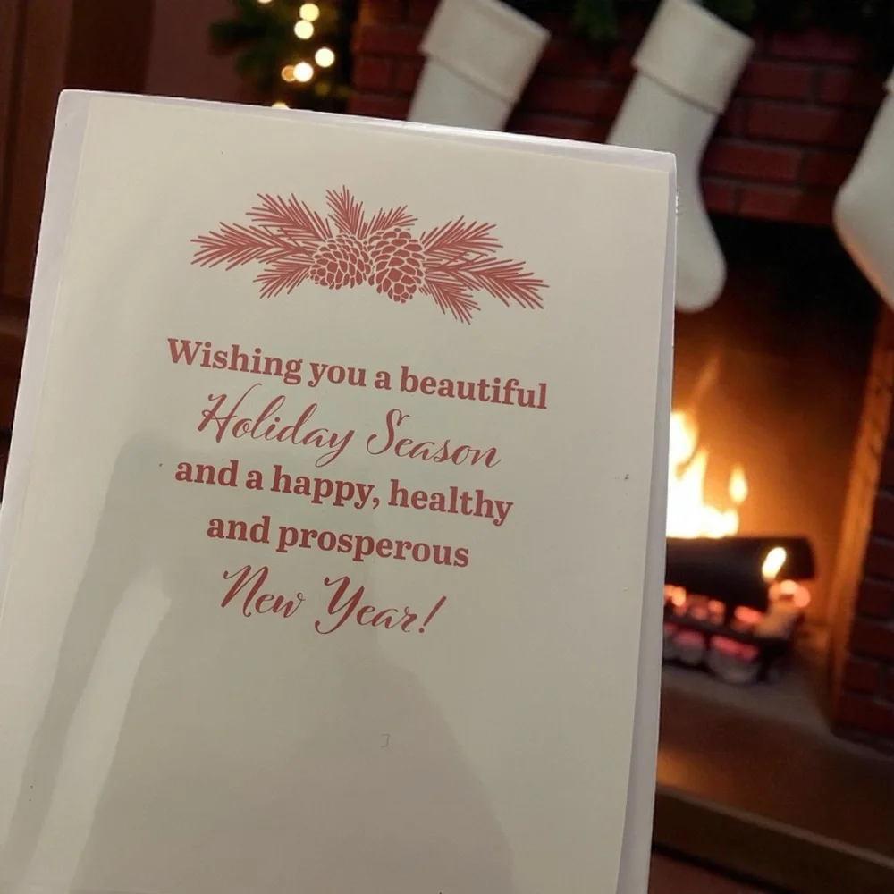 Holiday Christmas Cards (24 cards)